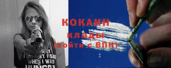 дживик Касимов