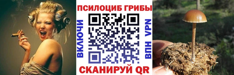 Купить  Кореновск  Галлюциногенные грибы MAGIC MUSHROOMS 
